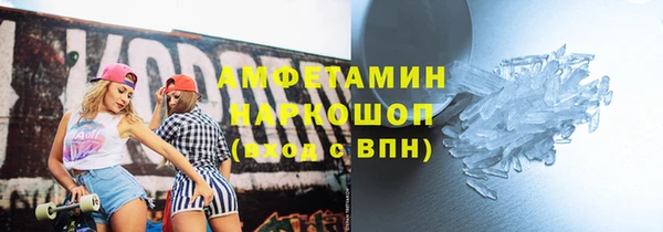 винт Абаза