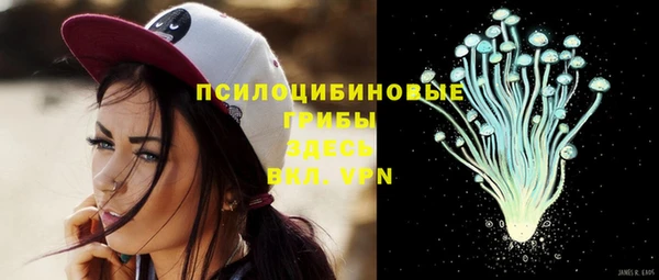 винт Абаза