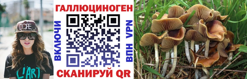 Псилоцибиновые грибы ЛСД Шимановск